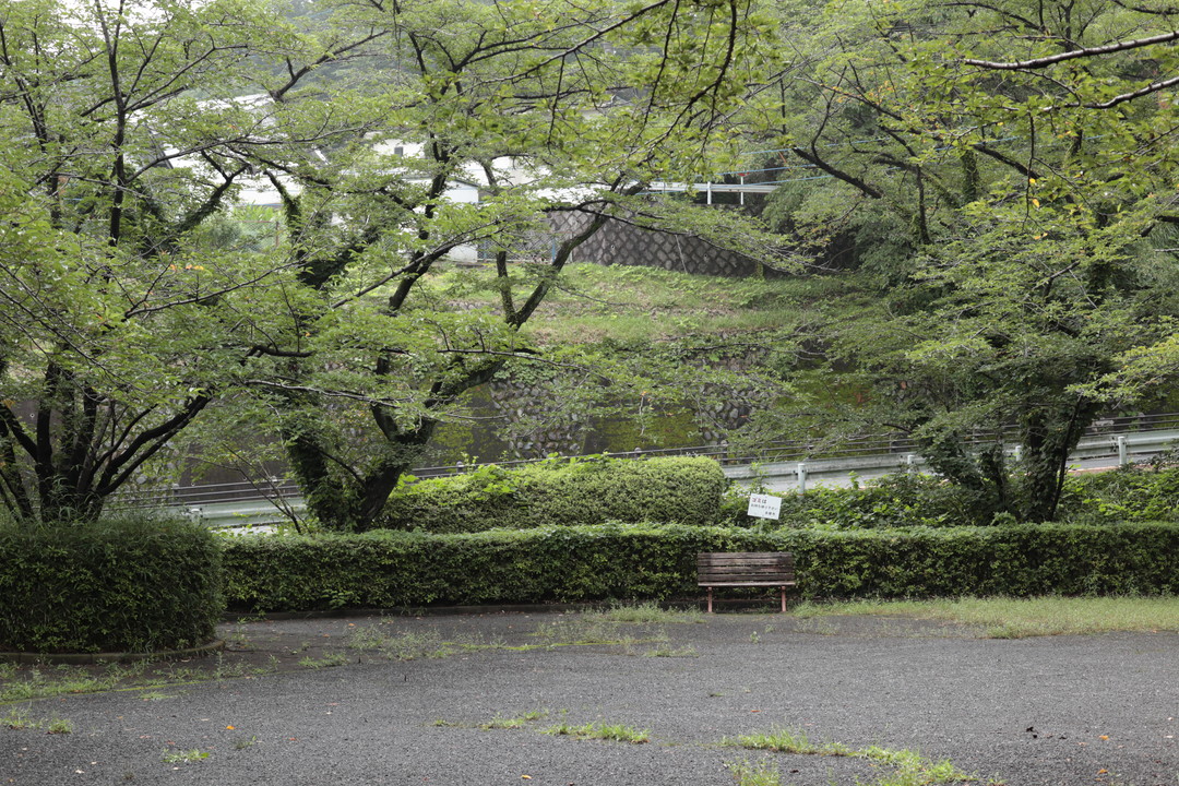 いろは坂桜公園